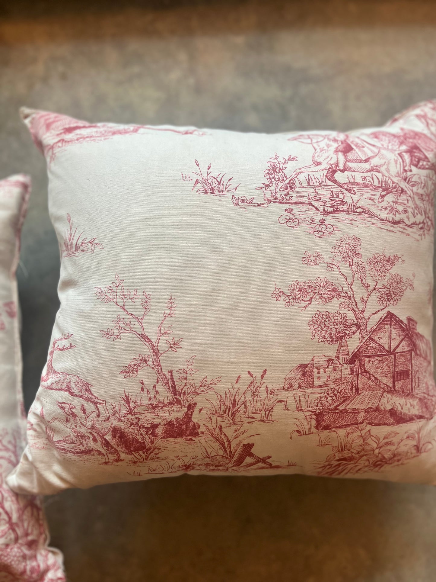 Toile de jouy cushions