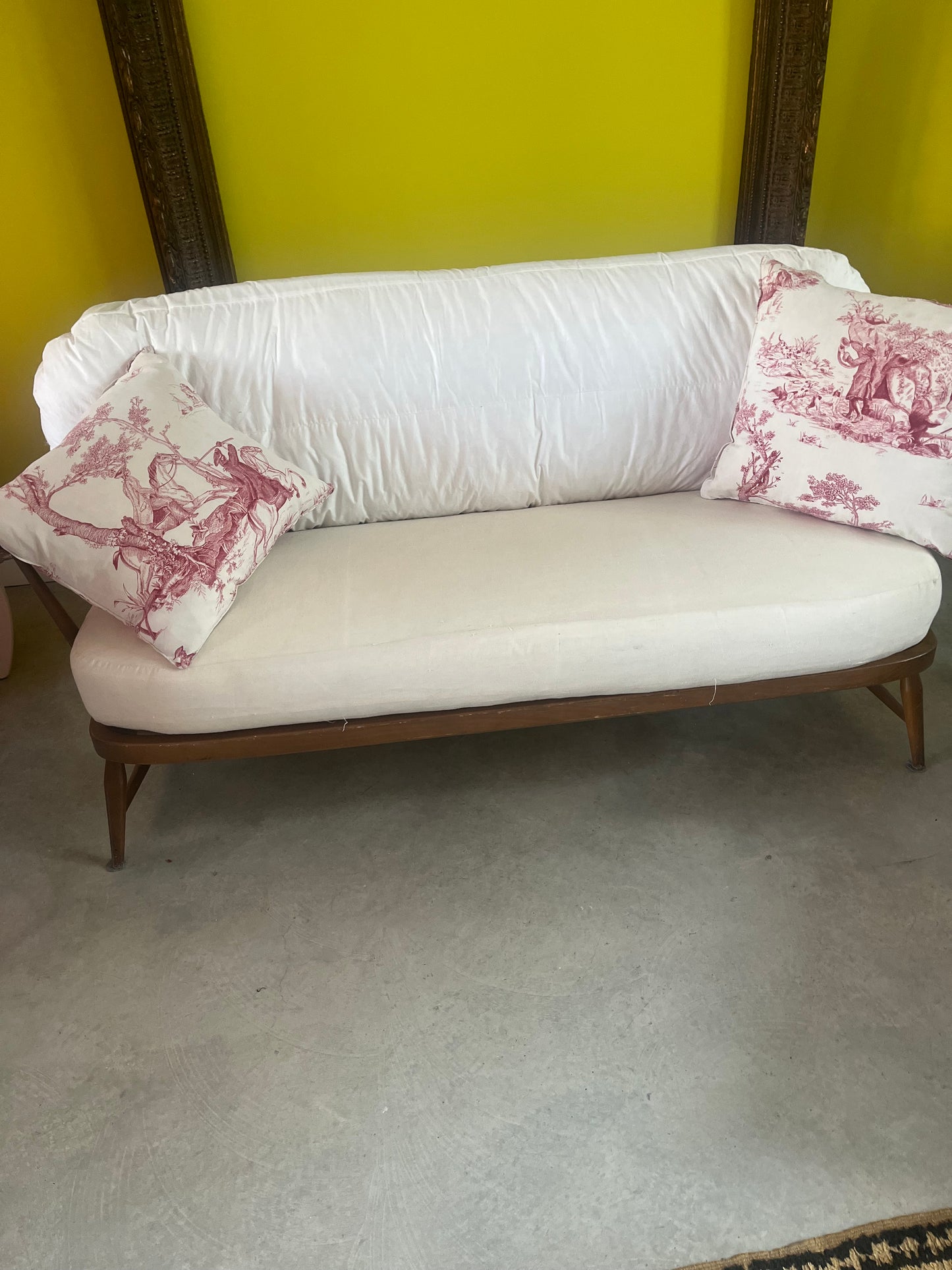 Toile de jouy cushions