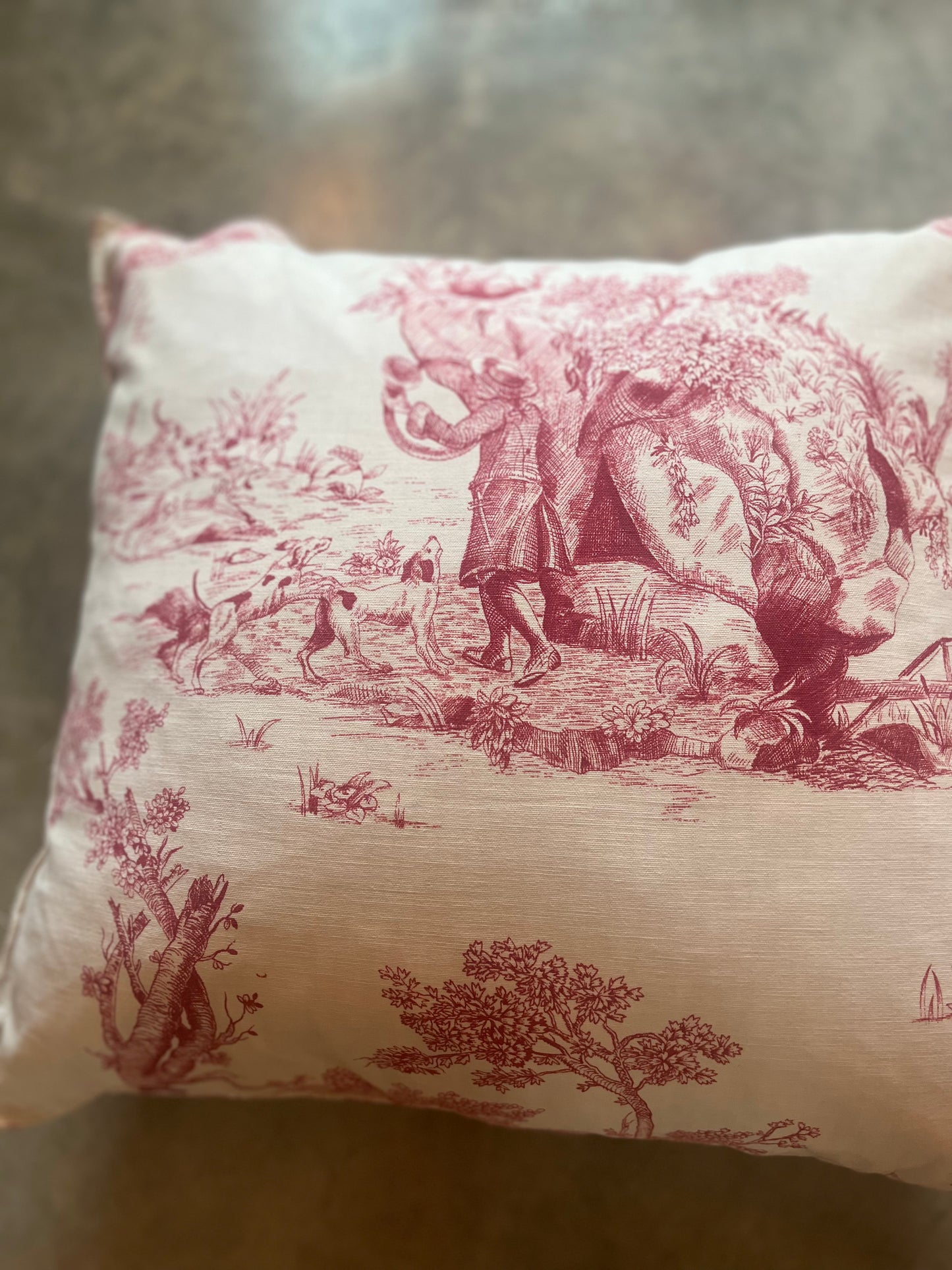Toile de jouy cushions