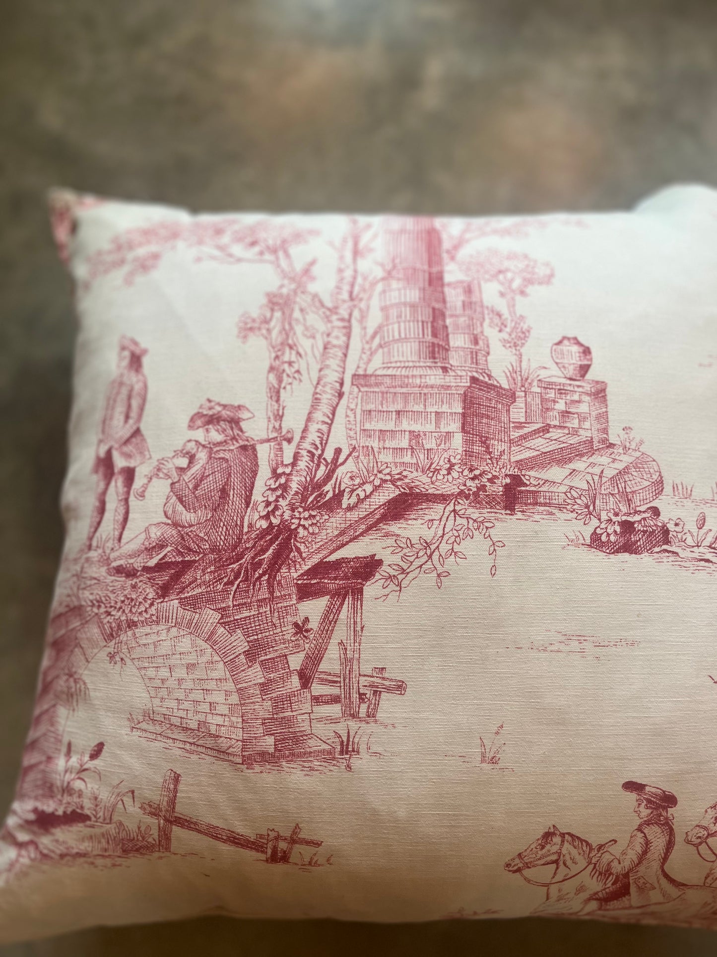 Toile de jouy cushions