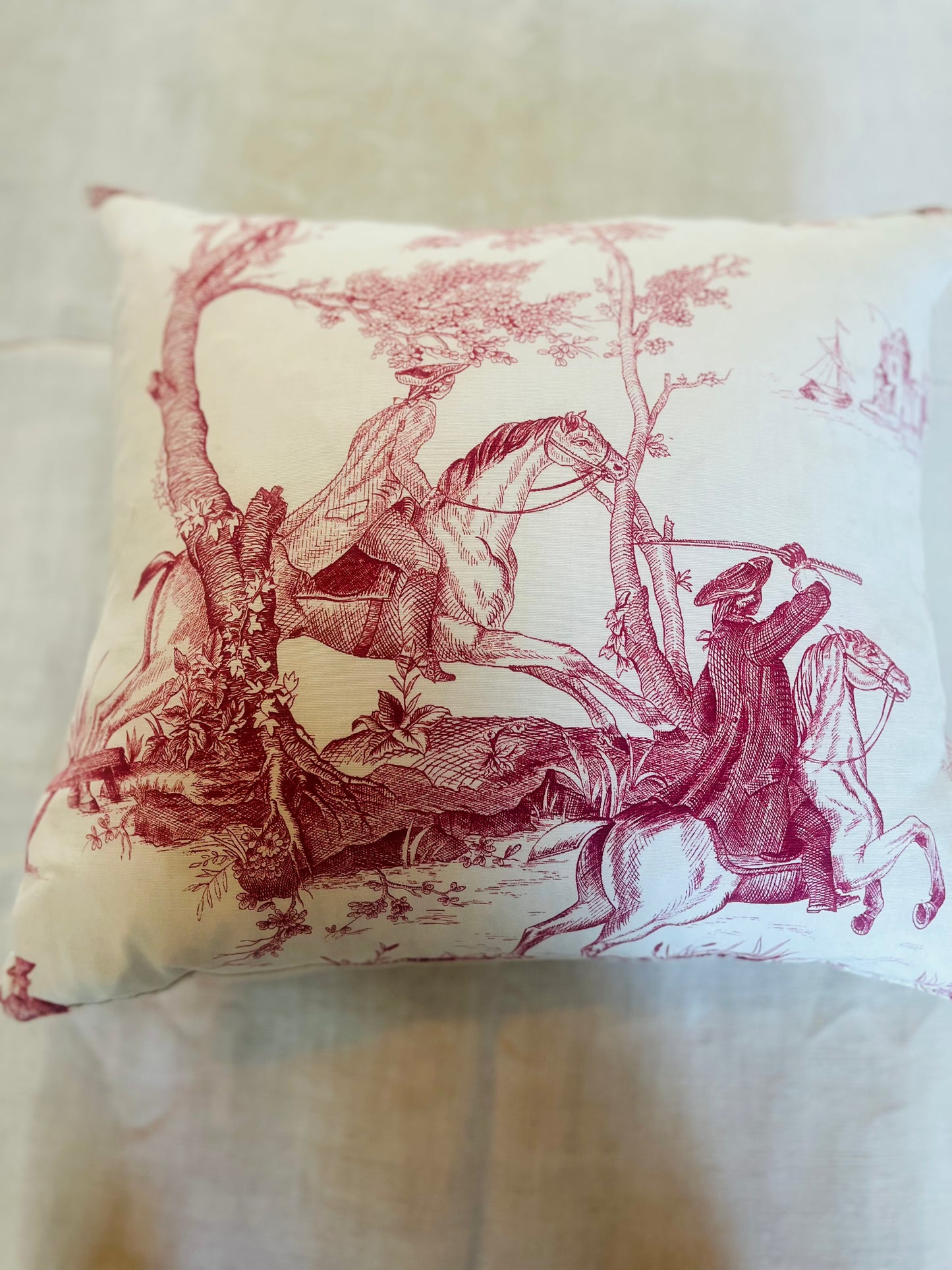 Toile de jouy cushions
