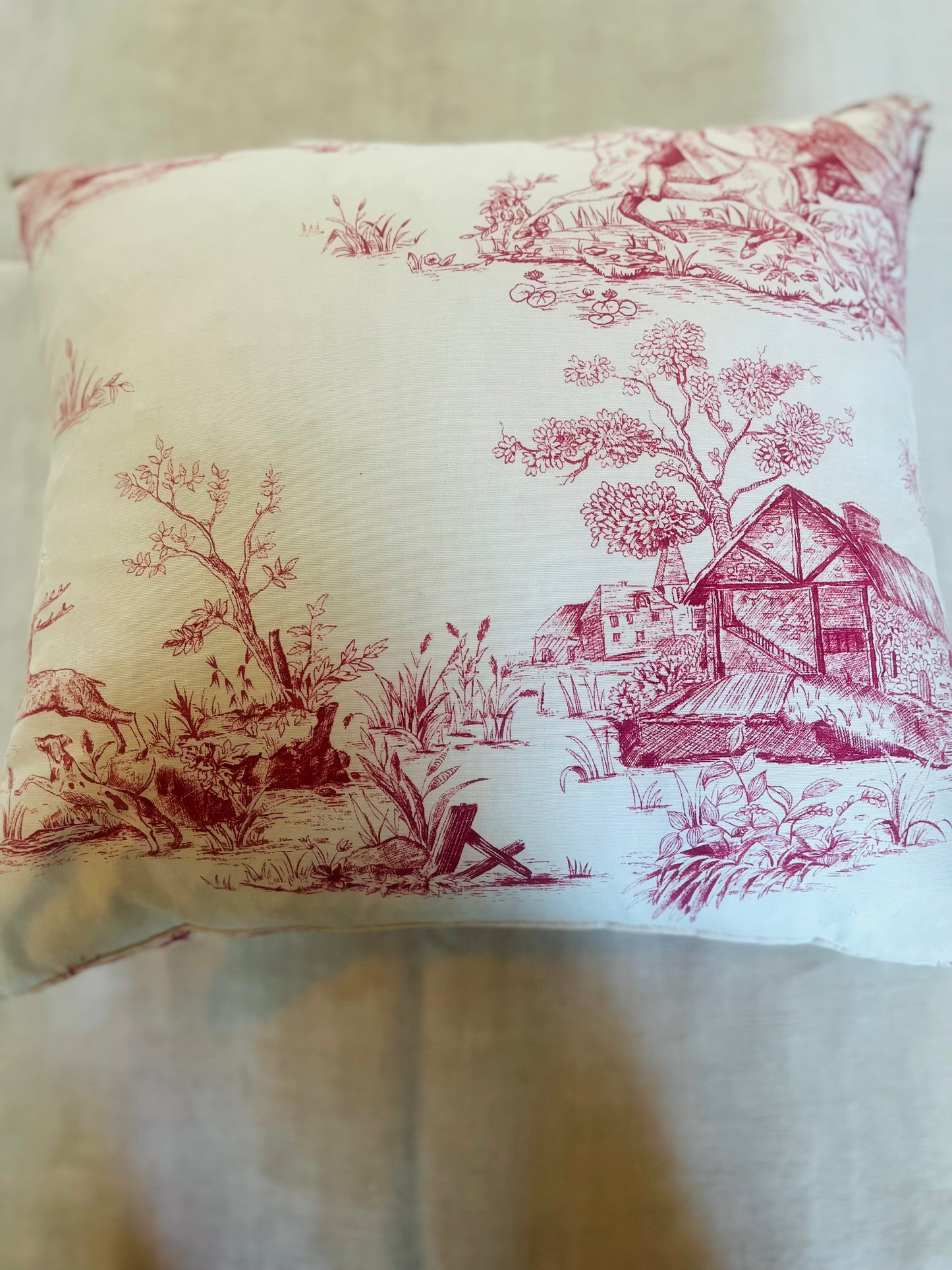 Toile de jouy cushions