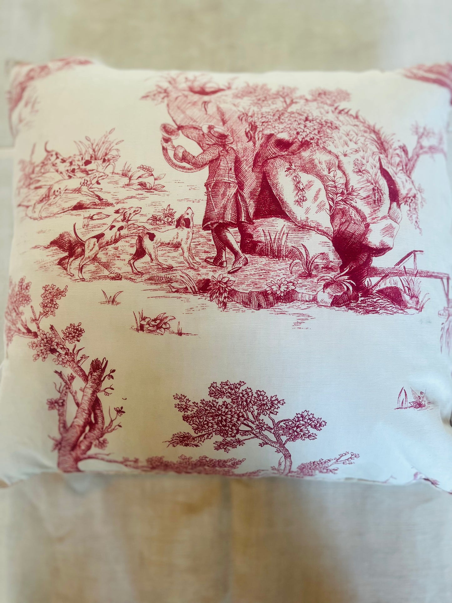 Toile de jouy cushions