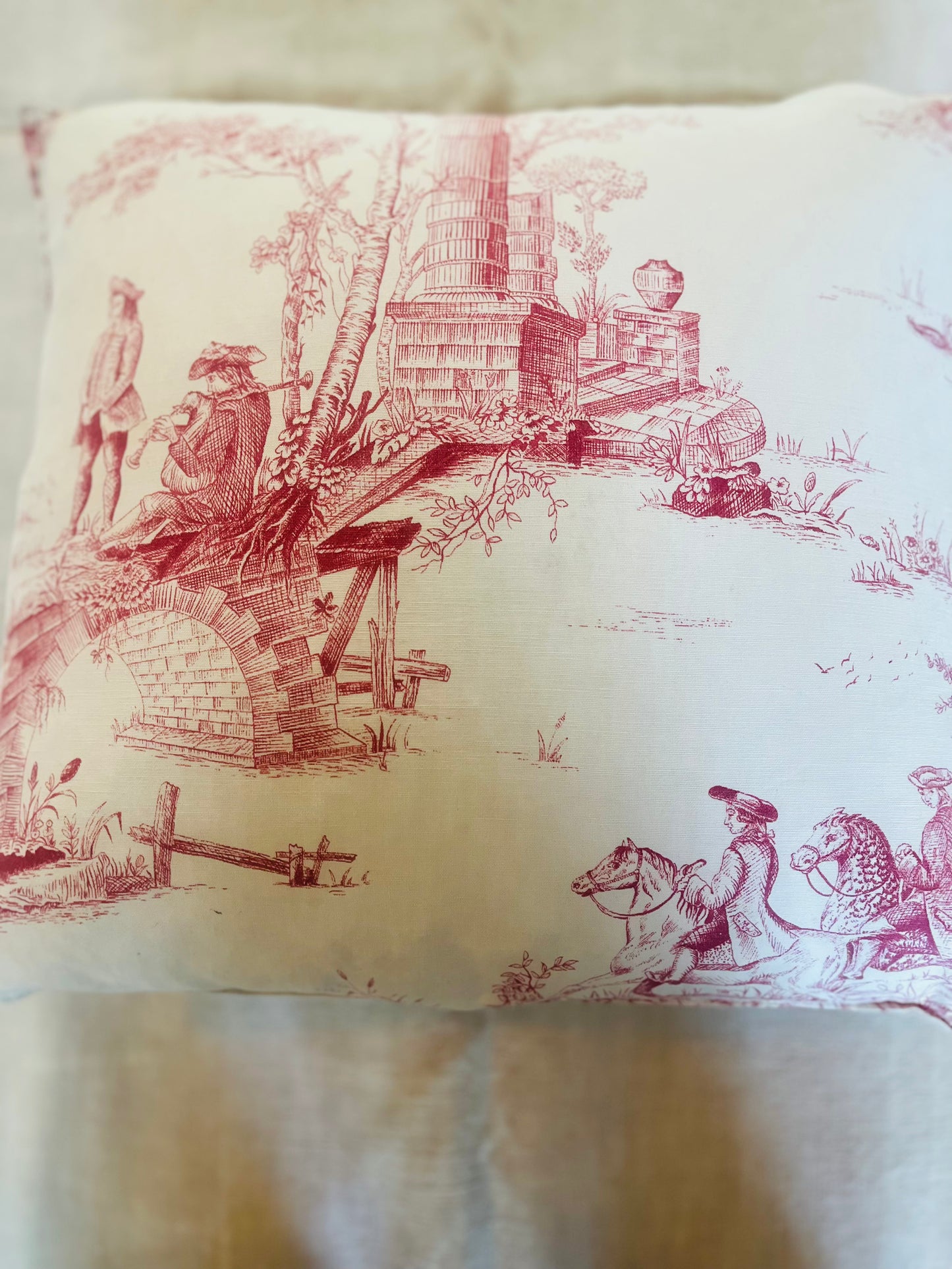 Toile de jouy cushions
