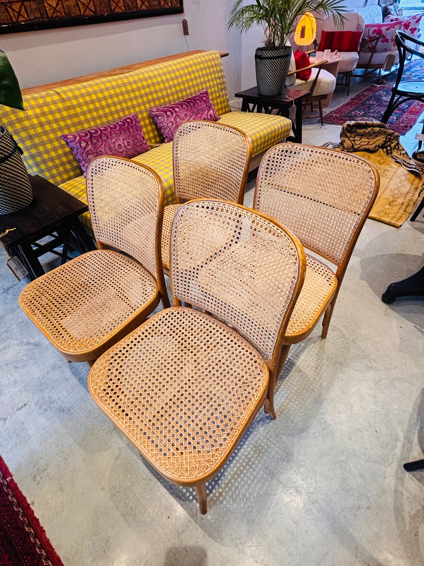 4 Thonet cane chairs