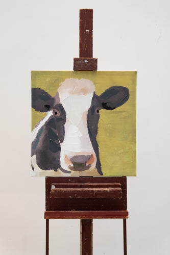 Portrait of a cow